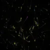 【PCライブ壁紙】光ファイバー / Fiber Optic [Fantasy AI Art]
